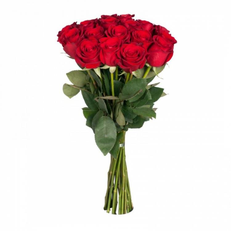 Элитные красные розы 70 см
